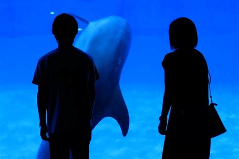 水族館 デート 髪型|水族館デートのおすすめ夏コーデ特集。気温差や足元 .